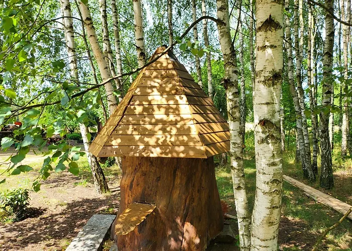 Borowe Chatki nad Lubiszewem